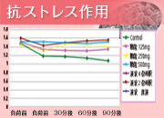 注目の「腸内環境」サポート次世代型乳酸菌『BB3600（複合乳酸菌酵母発酵生産物質）』